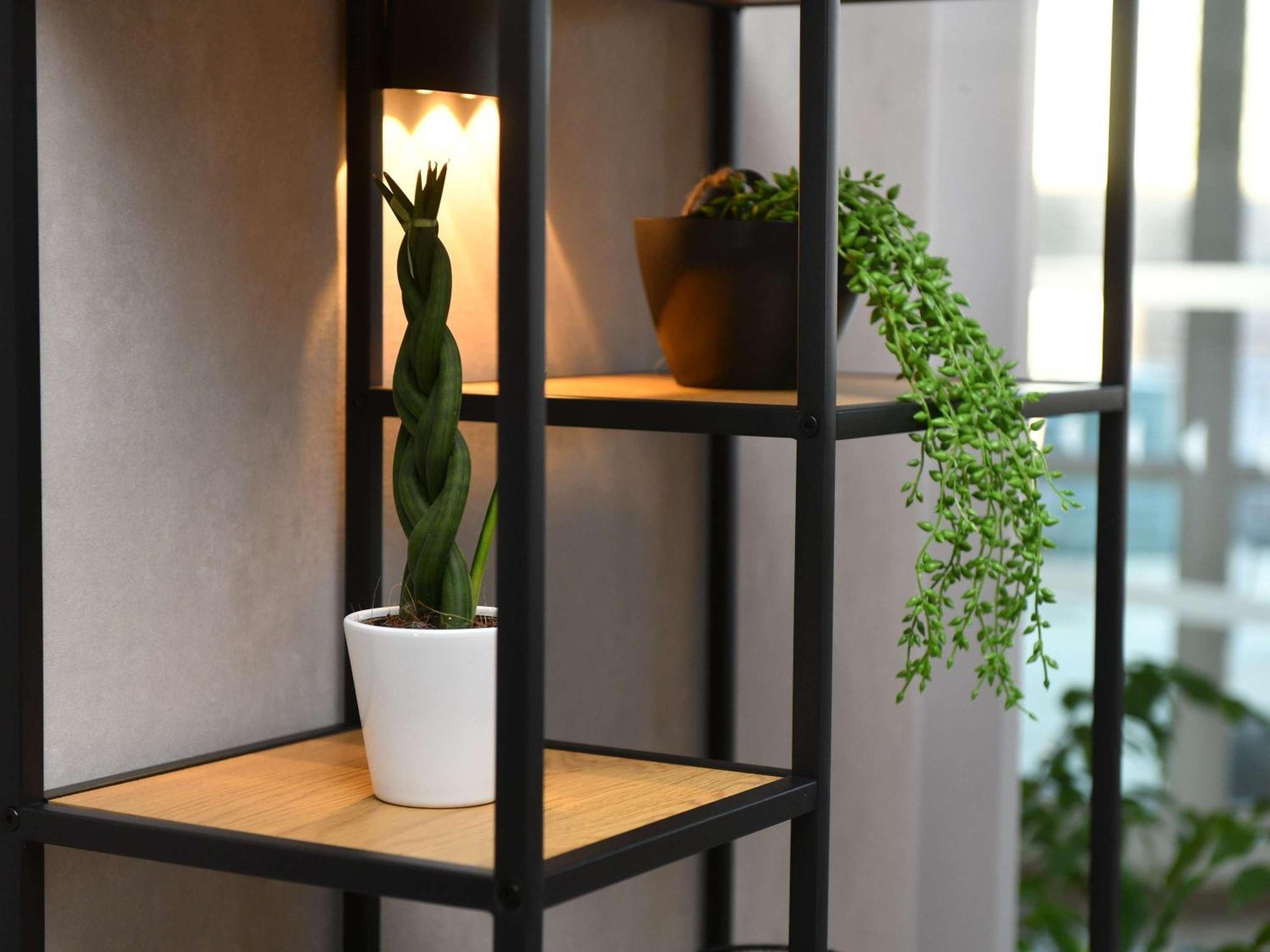 Ibis Chateauroux Ngoại thất bức ảnh